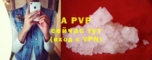 a pvp Белокуриха
