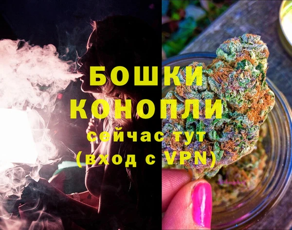 a pvp Белокуриха