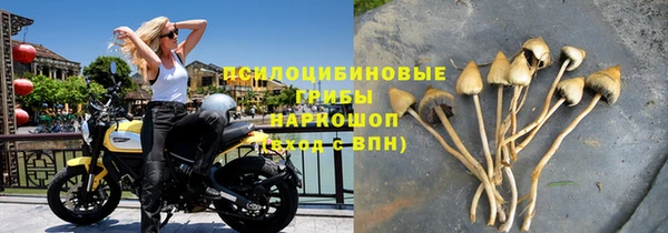 ПСИЛОЦИБИНОВЫЕ ГРИБЫ Беломорск